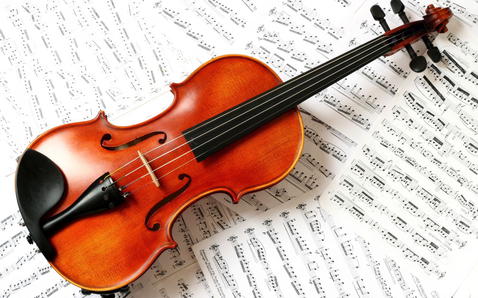 Nhận dạy kèm đàn violin cho người đi làm tại nhà 
